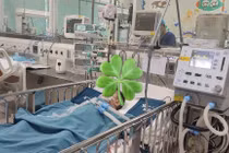 Vụ tố chậm cấp cứu bé trai bị tai nạn: Bệnh nhân chấn thương nặng do rách cơ hoành, dập thận và ruột