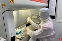 Chương trình đào tạo của Trường Đại học Y Hà Nội được xây dựng hướng đến tầm nhìn châu lục