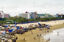 Ảnh minh họa (Nguồn: Internet)