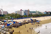 Ảnh minh họa (Nguồn: Internet)