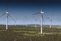 Ảnh minh họa (Nguồn: Internet)