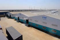 Ảnh minh họa (Nguồn: TTF)