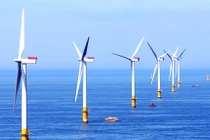 Ảnh minh họa (Nguồn: quangbinh.gov.vn)