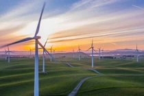 Ảnh minh họa (Nguồn: Internet)