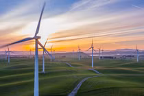 Ảnh minh họa (Nguồn: Internet)