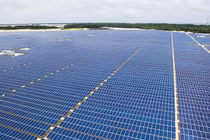 Ảnh minh hoạ (Nguồn: Internet)