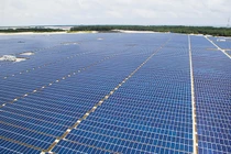 Ảnh minh hoạ (Nguồn: Internet)