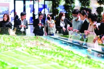 TP.HCM yêu cầu doanh nghiệp bất động sản không ủy quyền nhận đặt cọc, mua bán