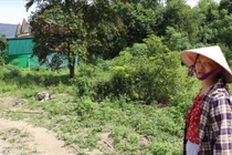 Dự thảo Nghị quyết mới về thu tiền sử dụng đất khi chuyển đất vườn, đất nông nghiệp sang đất ở được kỳ vọng giảm gánh nặng tài chính cho người dân.