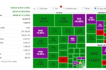 Mừng “sinh nhật” tuổi 25, VN-Index đón đỉnh lịch sử trên 1.550 điểm