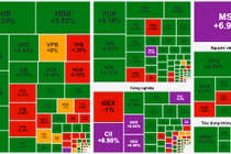 Cổ phiếu bất động sản dẫn sóng phiên sáng nay