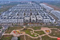 Giá biệt thự tăng trung bình 29% mỗi năm. Ảnh: Lệ Chi