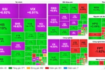 Cổ phiếu chứng khoán và bất động sản bất ngờ bật tăng mạnh