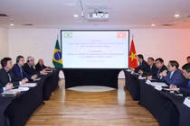 Toàn cảnh cuộc tọa đàm giữa Thủ tướng Phạm Minh Chính với doanh nghiệp Brazil (Ảnh: VGP)