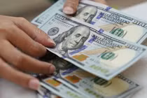 BSC: NHNN đã mua hơn 6 tỉ USD từ đầu năm