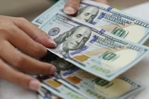 NHNN ‘hút’ 90.000 tỉ đồng từ tín phiếu: 'Ghìm cương' tỷ giá, chưa phải đảo chiều chính sách?