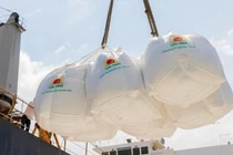 LTG báo lãi kỷ lục năm 2022