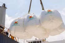 LTG báo lãi kỷ lục năm 2022