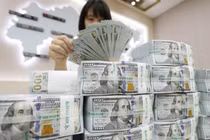 Tỷ giá USD/VND vượt đỉnh, vì sao?