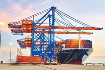 Cổ phiếu GMD "dò đáy" do những lo ngại tác động của thuế quan tới ngành cảng biển và logistic 