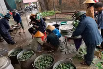 Nhiều nơi ở Nghệ An đang gói bánh chưng gửi vào bà con vùng lũ.