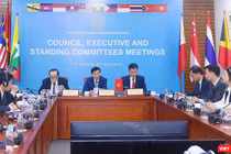 Đầu cầu Việt Nam tham dự trực tuyến phiên làm việc của Hội đồng Liên đoàn Thể thao Đông Nam Á.