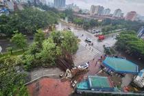 Bão Yagi tàn phá khủng khiếp, nhiều người thương vong