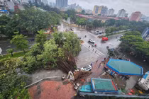 Bão Yagi tàn phá khủng khiếp, nhiều người thương vong