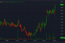 Lãnh đạo nghỉ hết, cổ phiếu Minh Khang Capital "bốc đầu"