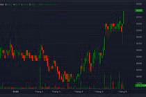Lãnh đạo nghỉ hết, cổ phiếu Minh Khang Capital "bốc đầu"