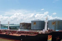 'Ông lớn' xăng dầu NSH Petro tiếp tục báo lỗ, đại gia Mai Văn Huy mất 900 tỷ