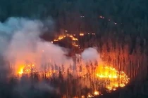 Mẫu UAV được mệnh danh là "rồng" của Ukraine vì có khả năng nhả nhiệt nhôm xuống kẻ địch bên dưới.