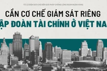 Cần cơ chế giám sát riêng tập đoàn tài chính ở Việt Nam