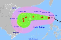 Thủ tướng yêu cầu tập trung ứng phó với bão Trà Mi