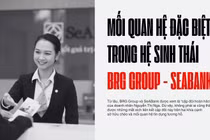 Mối quan hệ “đặc biệt” trong hệ sinh thái BRG Group và SeABank