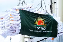 Kết quả kinh doanh quý I/2024 và năm 2023 của Lộc Trời không mấy khả quan.