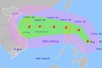 Hướng di chuyển của bão Trà Mi trên biển đông.