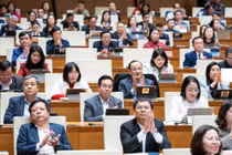 Quốc hội chốt đổi tên kỳ họp bất thường thành kỳ họp không thường lệ