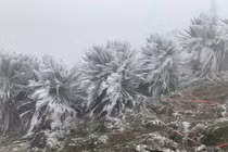 Miền Bắc rét tăng cường, có nơi 10 độ C, miền Trung mưa lớn