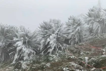 Miền Bắc rét tăng cường, có nơi 10 độ C, miền Trung mưa lớn