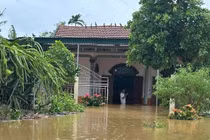 Bão số 10 gây thương vong lớn, Thủ tướng yêu cầu hỗ trợ tối đa người dân gặp nạn 