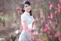 Dự báo thời tiết 3 miền Tết Ất Tỵ 2025