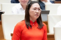 Đại biểu Quốc hội đề nghị luật hóa Công ước Hà Nội càng sớm càng tốt