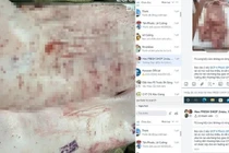 Vụ tố bán thịt heo bệnh ra thị trường: Công ty C.P. Việt Nam nói gì?