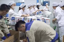 Vụ 573 nhãn hiệu sữa giả: Ông chủ đường dây "chạy án" 150.000 USD, gặp phải kẻ lừa đảo