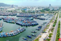 Một góc đô thị Đà Nẵng (ảnh Nguyễn Trình)