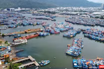 Tàu thuyền neo đậu tránh trú bão tại âu thuyền Thọ Quang (Đà Nẵng)