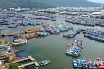 Một góc âu thuyền Thọ Quang (TP Đà Nẵng), nơi được xem là điểm nóng về môi trường của TP suốt chục năm qua (ảnh Nguyễn Trình)