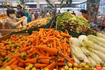 Các siêu thị trên địa bàn TP Đà Nẵng sẵn sàng lương thực, thực phẩm phục vụ nhu cầu của người dân TP