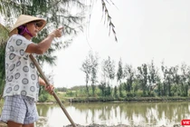 Ông Nguyễn Tiền, trú thôn Vạn Lăng, xã Cẩm Thanh, TP Hội An chưa thoả đáng với số tiền đền bù và chuyển đổi nghề nghiệp khi bị thu hồi hơn 6.000m2 diện tích nuôi trồng thỉu sản